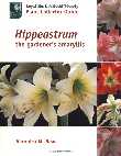 Book on Hippeastrum or Amaryllis bulbs for sale